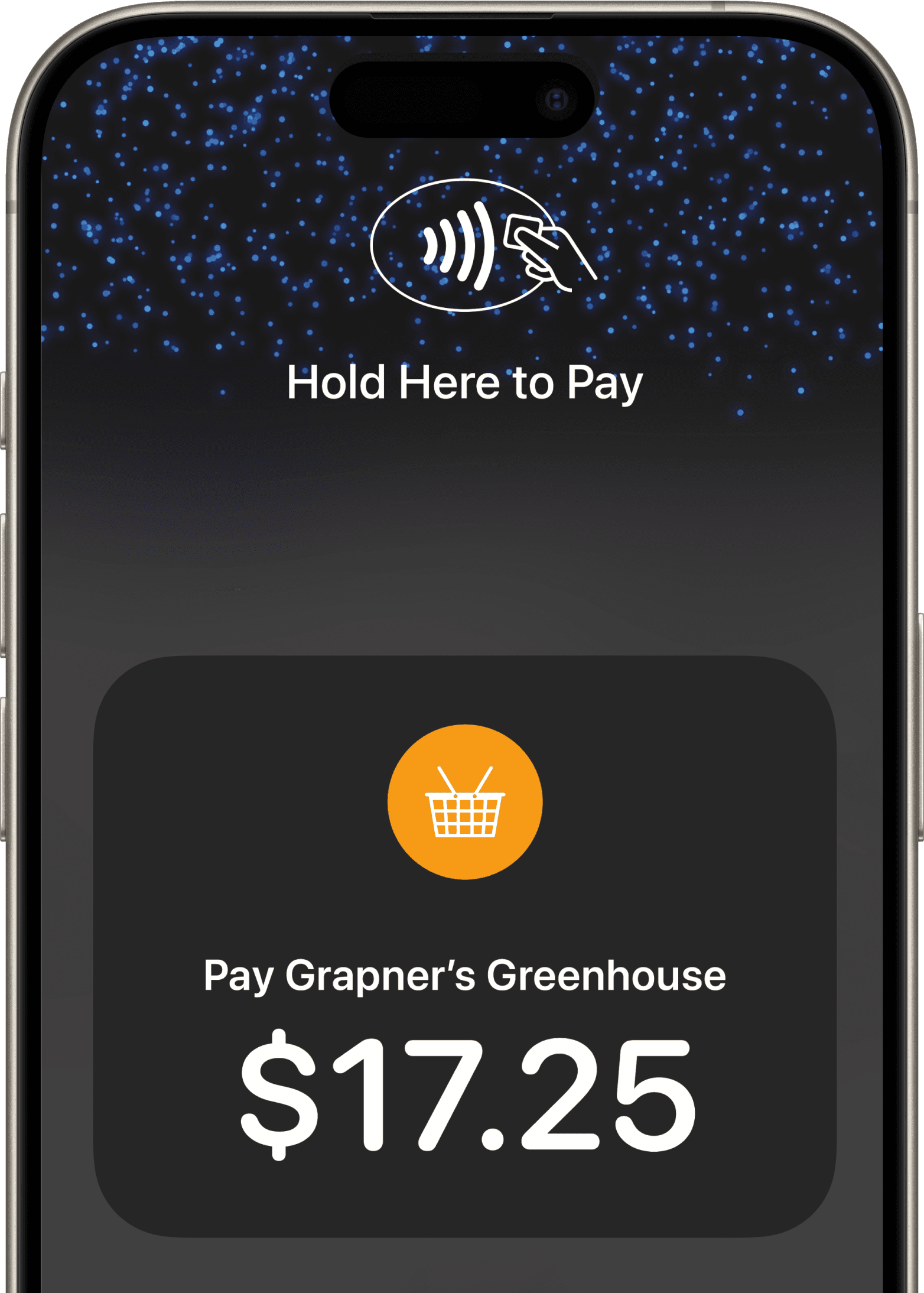 Zeller App - Apple Pay Screen