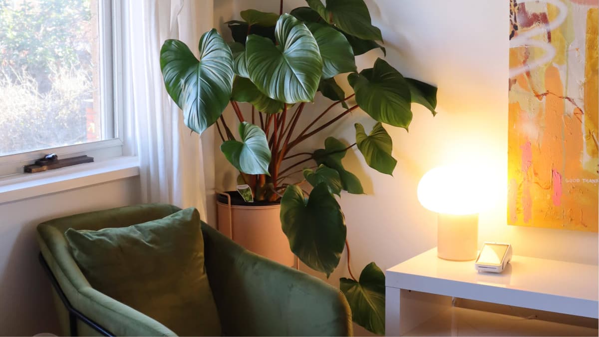 Blog-2406-Beauty-Businesses-Gallery-1