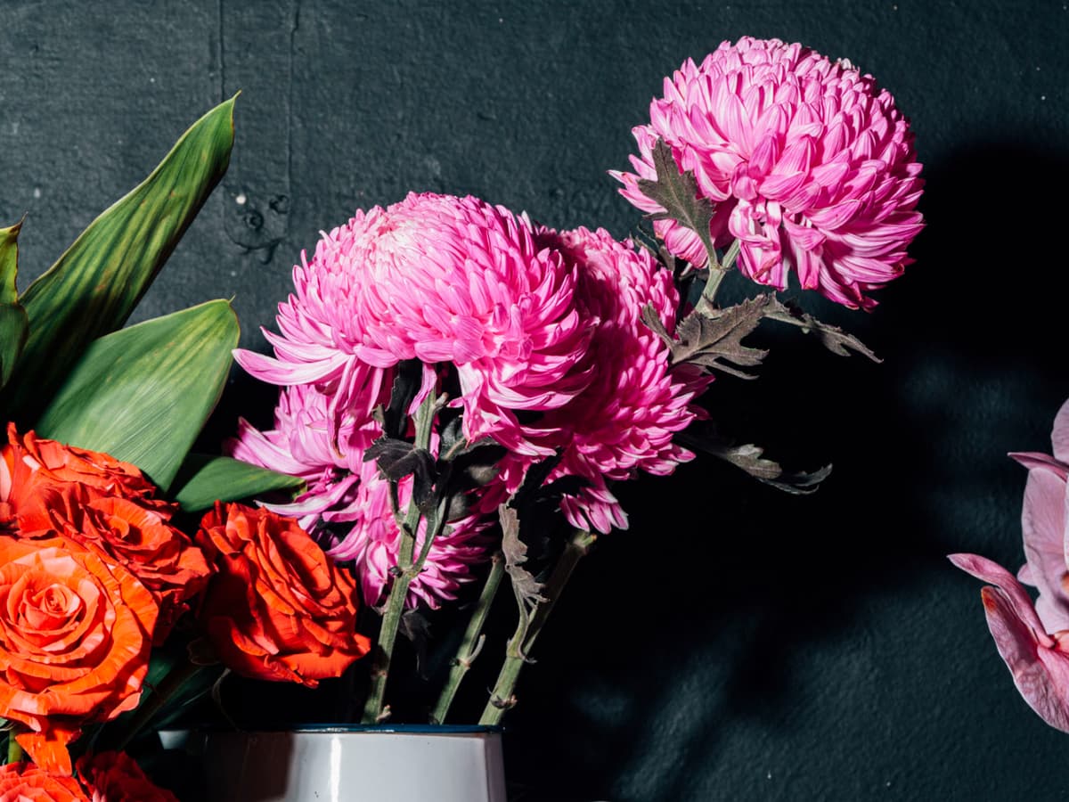 FC-2305-02229-Pink-flowers-Mid-res