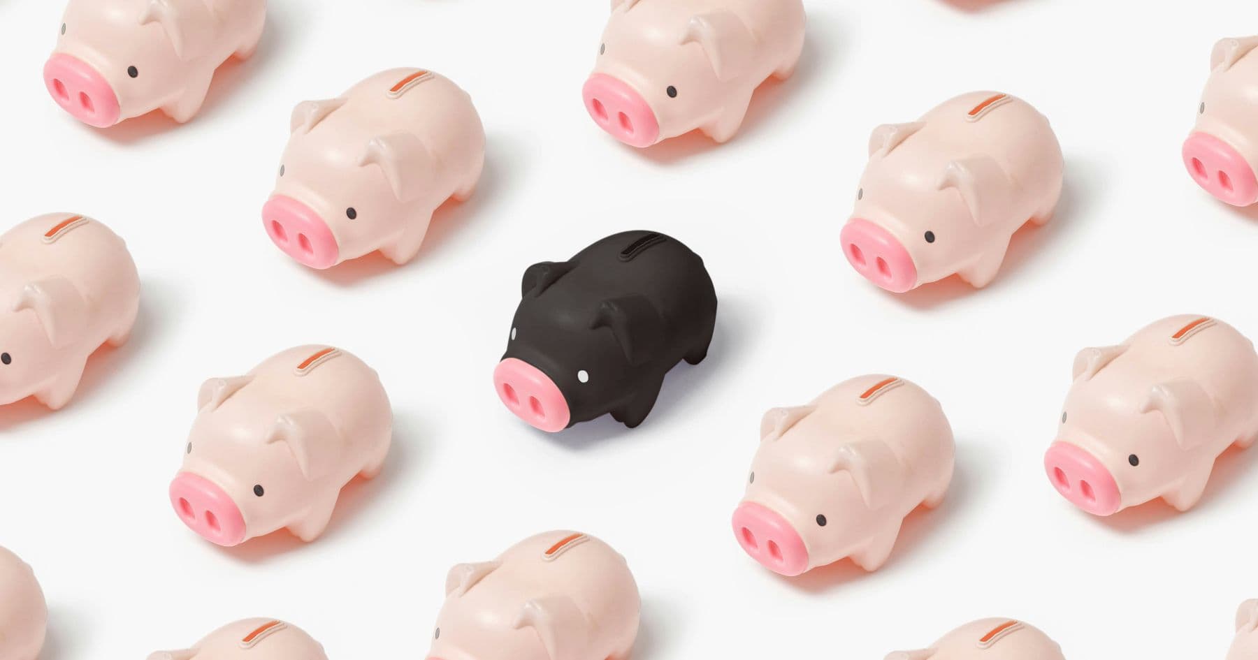 cute piggy banks, one is black to align with the colour scheme of Zeller for Startups