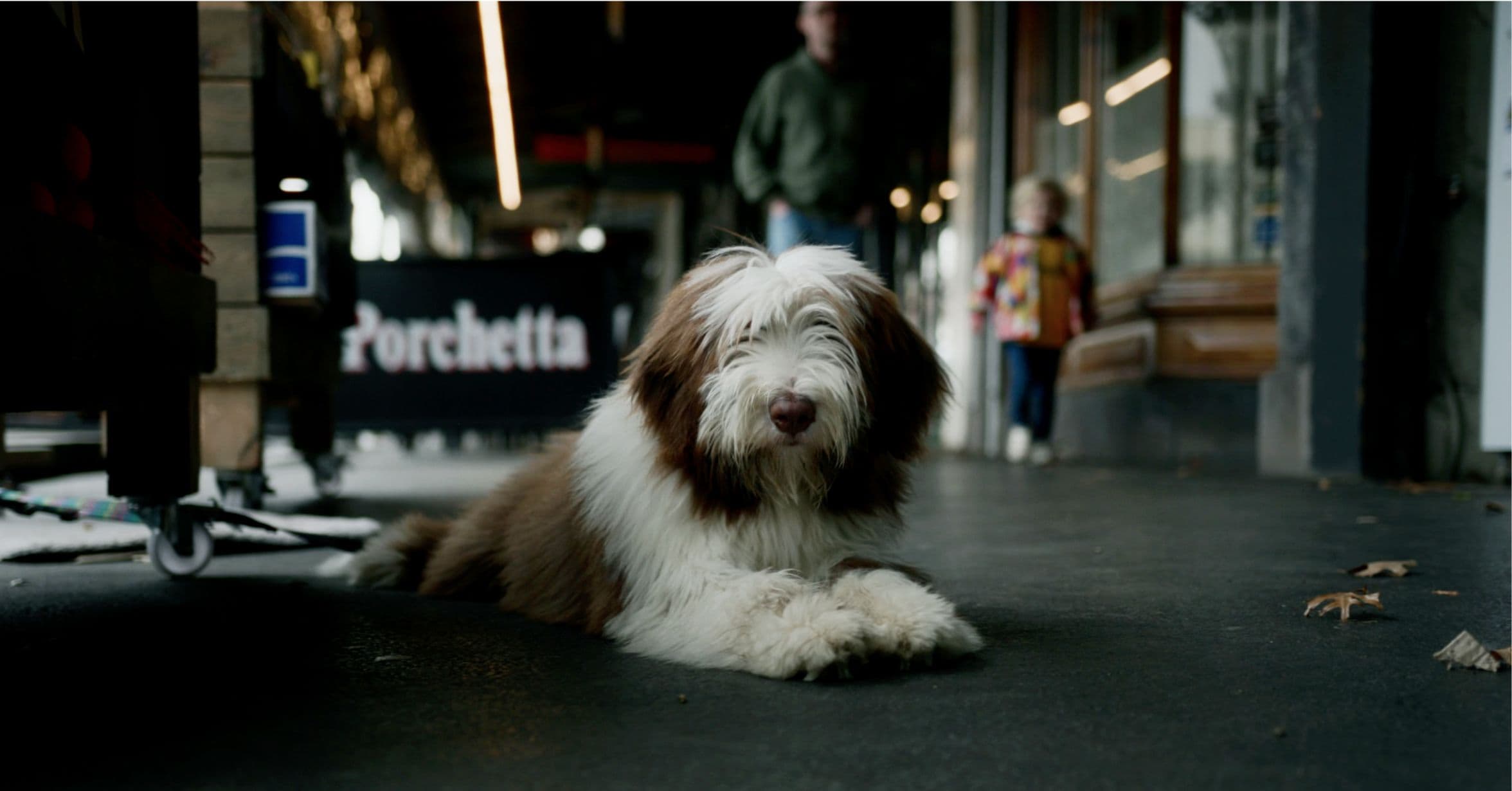 zeller-rathdowne-village-39