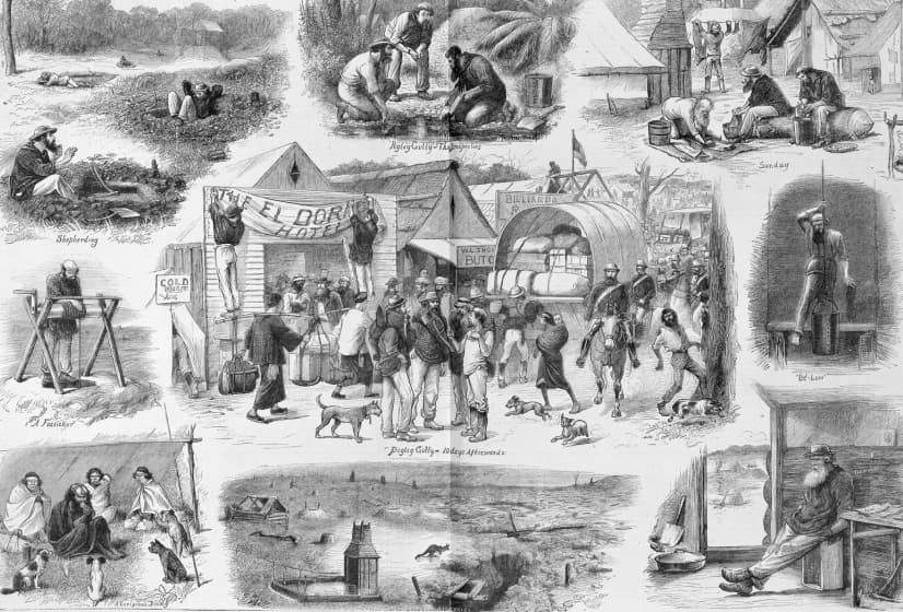 zeller-case-study-04